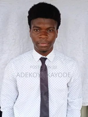 Mr Adekoya Kayode Ezekiel