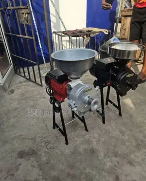 Wet and Dry Grinder
