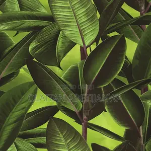 4d Forest Green Palm Italian Wallpaper 16sqm