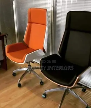 Executive Director Chair
