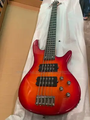 Fender Five Strings Electric Bass Guitar