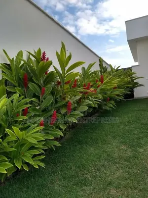 Residential Landcsaping