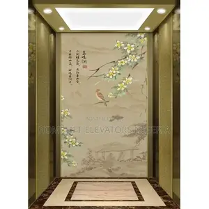 High Quality 2-5 Floor Small Shaftless Residential Lift