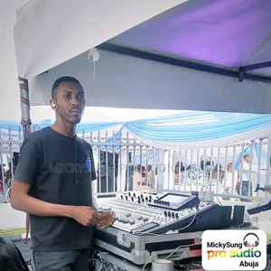 Need a Professional Sound Engineer??