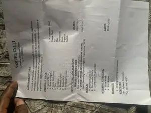 Housekeeping Cleaning CV