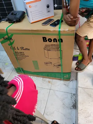118l Bona Ac Dc Solar Freezer That Comes With Warranty