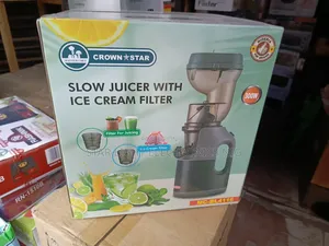 Slow Juicer With Ice Cream Filter