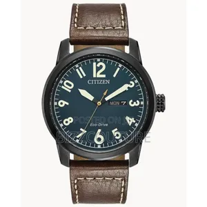Original Citizen Men's Eco-Drive Weekender Garrison Field