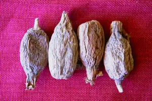 Alligator Pepper/ Atare
