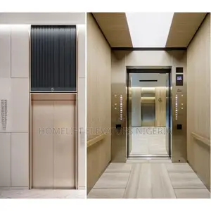 Professional Luxury Wooden Design Elevator