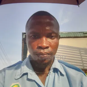 Dispatch Rider's CV's