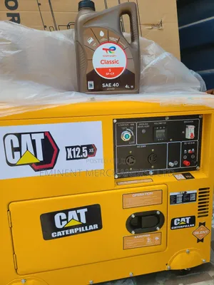 Cat Soundproof Generator 12.5kva