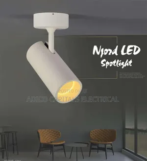 Single Spot Light