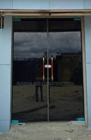 Tinted Frameless Glass Doors