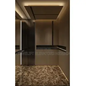 Private Elevator Indoor Hydraulic Homelift