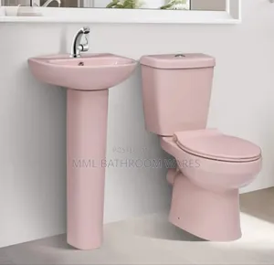 Pink Golden Diamond Wc Water Closet With Wash Hand Basin