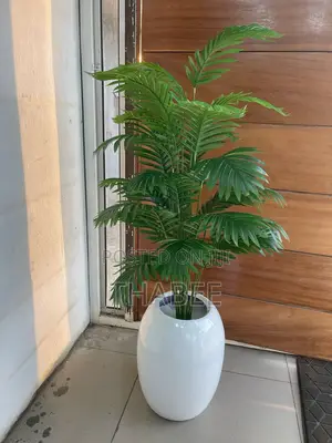 Palm Plant in White Mini Egg Vase 4.2ft.