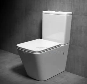 Executive Toilet Seats With Pedestal Basin