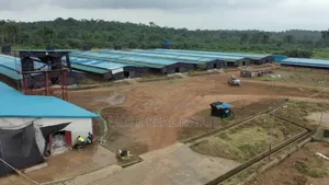 60000 Birds Automated Poultry 20 Hectre 4 Sale Ogun State