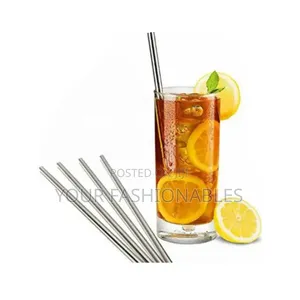 Reusable Metal Straw ( Silver)