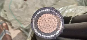 500mm Single Nigeria Cable