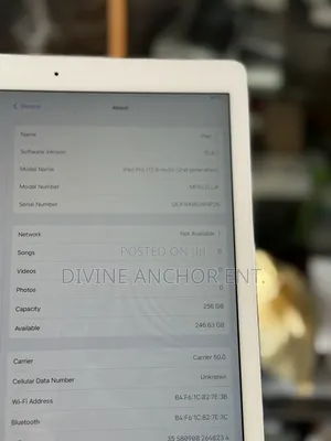 Apple iPad Pro 12.9 (2017) 256 GB Silver
