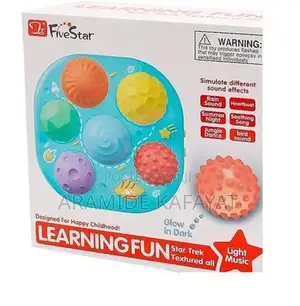 Learning Fun Toy