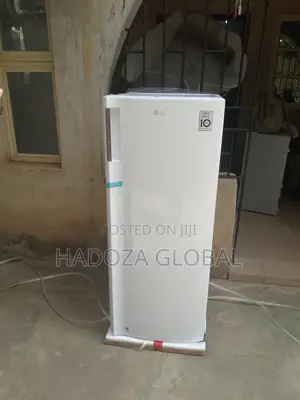Lg Gn-304sqgt: Ideal Freezer For Nigerian Households