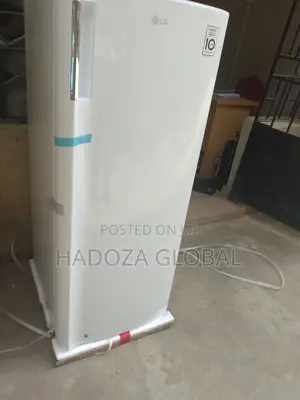 Lg Gn-304sqgt: Reliable Freezer For Nigerian Households