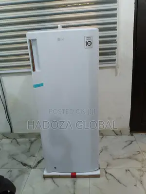 Lg Gn-304sqgt: Energy-efficient Freezer For Nigerian Homes