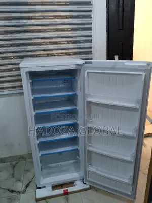 Lg Gn-304sqgt Freezer – Perfect For Nigerian Families