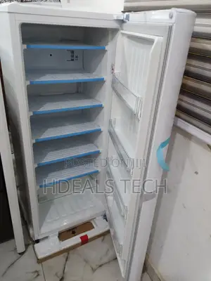 Lg Gn-304sqgt Standing Freezer-Efficient and Elegant