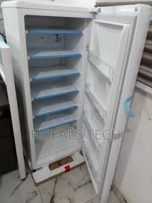 Lg Gn-304sqgt Upright Freezer - Smart Cooling,Sleek Design