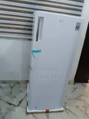 Lg Gn-304sqgt: Energy-efficient Freezer For Nigerian Homes
