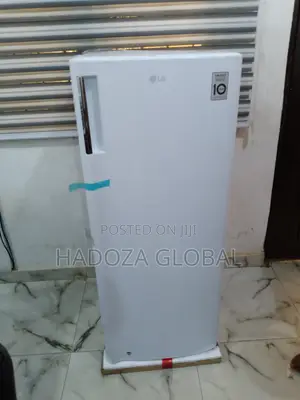 Lg Gn-304sqgt: Reliable Freezer For Nigerian Households