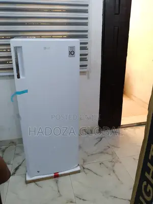Lg Gn-304sqgt Freezer – Perfect For Nigerian Families