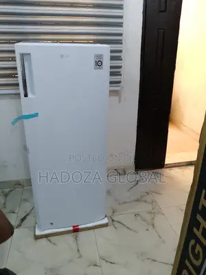Lg Gn-304sqgt: Reliable Freezer For Nigerian Households