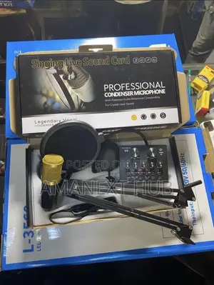 Professional Condenser Microphone With Sound Card