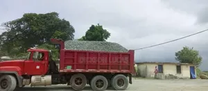 Iron Stone