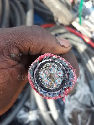 2.5mm 10 Core Armored Cable