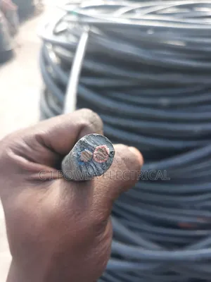 16mm 2core PVC Nigeria Cable