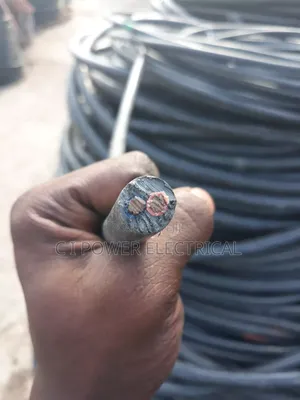 6mm 2 Core PVC Nigerchin Cable