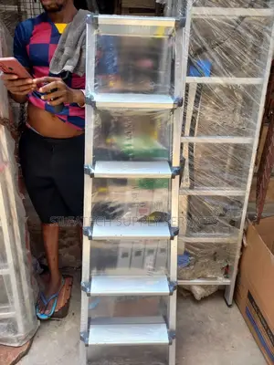 Quality and Reliable Ladder