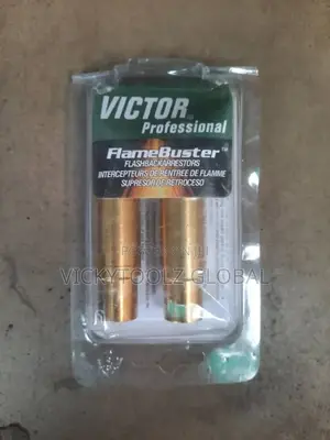 Flamebuster Flashback Arrestor
