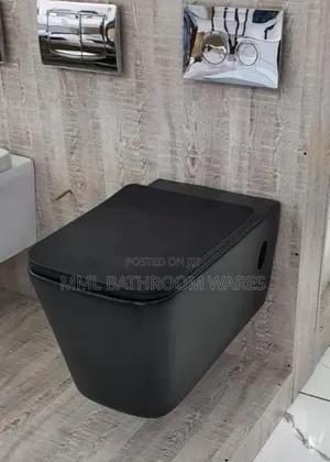 Black Wall Hung Wc With Concealed Tank