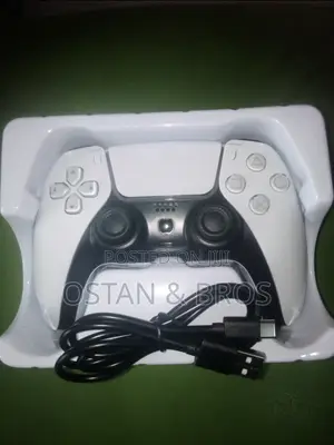 Playx Bluetooth Ps4 Pad (Plays Ps4 CDS in Ps5 Console)
