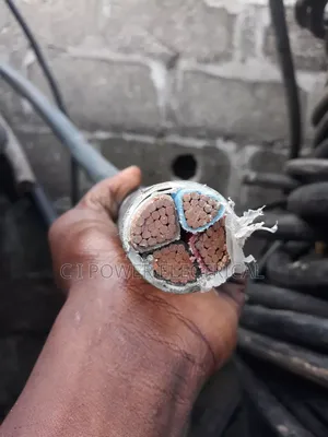 120 Mm 4 Core PVC Coleman Wire