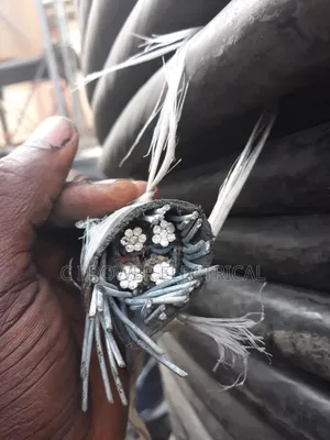 25mm 4 Core Aluminum Nigerchin Armored Cable