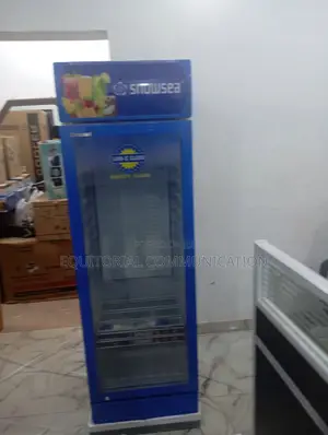 Sleek Snowsea Single Door Display Chiller Lc-300w