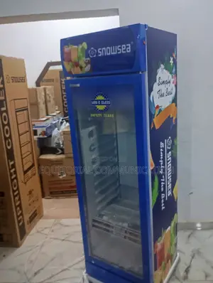 Snowsea Single Door Compact Display Chiller Lc-300w
